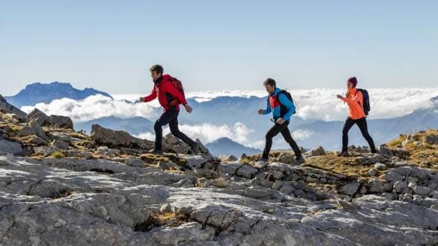 Countdown to United Parks & Resorts (PRKS) Q4 Earnings: A Look at Estimates Beyond Revenue and EPS