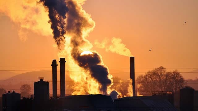 Investment Manager Builds Stake in CCC Stock With $15.0 Million Buy, According to Recent SEC Filing