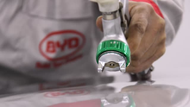 BYD chairman says firm will be world's biggest automaker in 5 years as shares slide