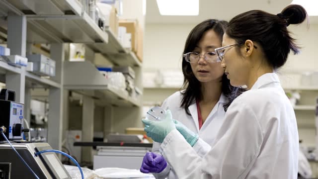 Amgen (AMGN) Stock Falls Amid Market Uptick: What Investors Need to Know