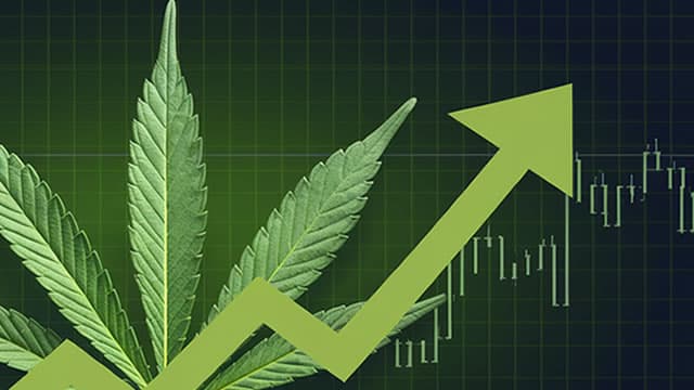 Cronos: Strong Quarter, And The Outlook For The Future Is Positive Thanks To M&A
