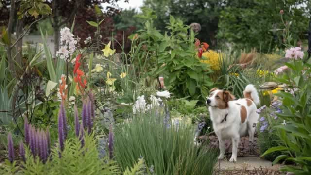 Central Garden & Pet Q3 Earnings Call Highlights