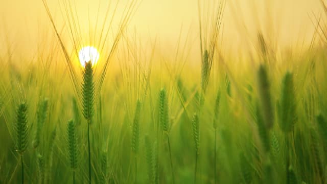 Is US Foods (USFD) a Solid Growth Stock? 3 Reasons to Think "Yes"