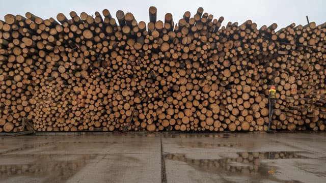 Is WY Stock a Buy as Earnings Recover but Valuation Remains Rich?