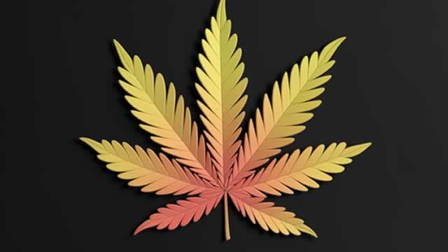 Canopy Growth: Is There Any Hope Left for This Beaten-Down Stock?