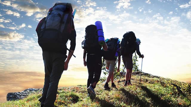 Are Consumer Discretionary Stocks Lagging Johnson Outdoors (JOUT) This Year?