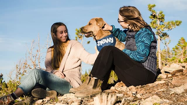 Chewy (CHWY) is Attracting Investor Attention: Here is What You Should Know
