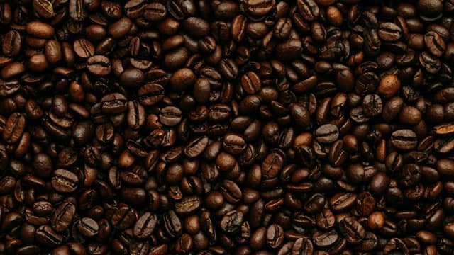 Why Dutch Bros Stock Ascended by Nearly 14% in April