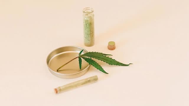 Canopy Growth Corporation (CGC) Is a Trending Stock: Facts to Know Before Betting on It