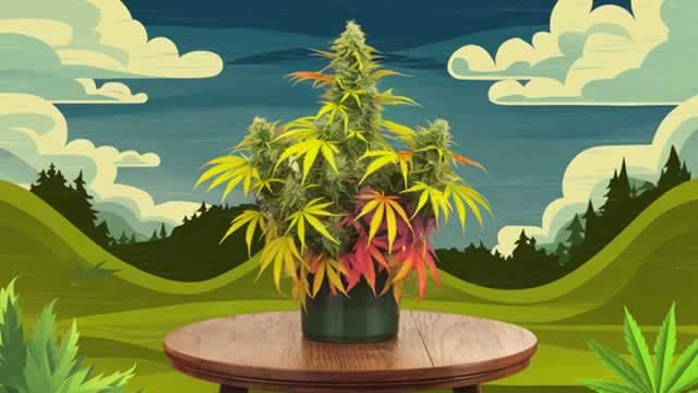 OrganiGram (OGI) Reports Q3 Loss, Beats Revenue Estimates