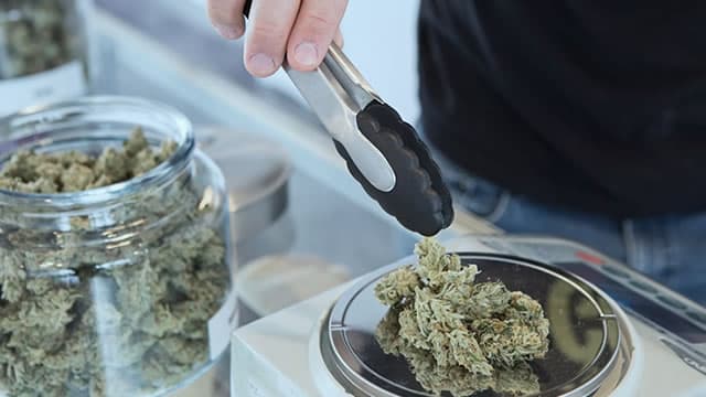 Investors Heavily Search Canopy Growth Corporation (CGC): Here is What You Need to Know