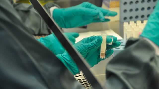 Here is What to Know Beyond Why Novo Nordisk A/S (NVO) is a Trending Stock