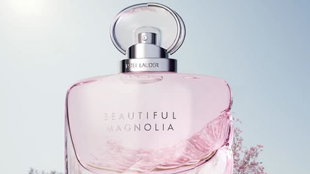 Estée Lauder shares drop after confirming Puig deal talks