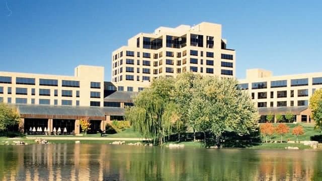 UnitedHealth Group Just Hit a 52-Week High. Is It Too Late to Buy This Soaring Stock?