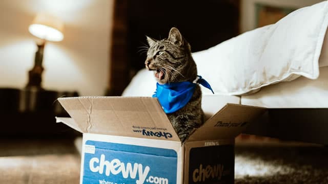 Chewy (CHWY) Dips More Than Broader Market: What You Should Know