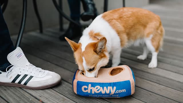 Chewy: Top Value Near 52-Week Lows