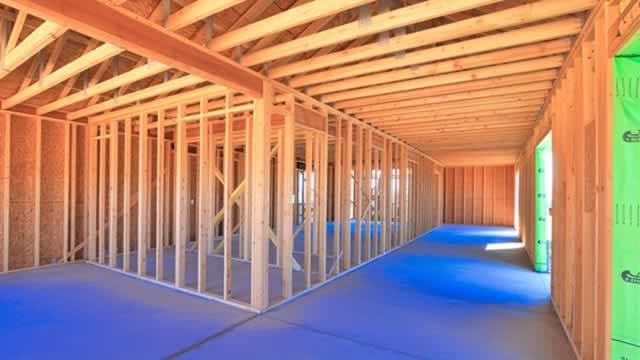 20 March Dogcatcher Favorite Toy Dog Dividend Fetchers