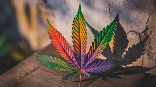 3 Marijuana Stocks To Buy, Sell Or Trade This Year