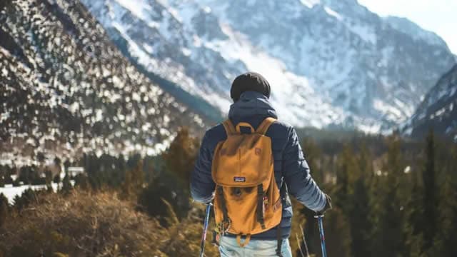 United Parks & Resorts (PRKS) Lags Q4 Earnings and Revenue Estimates