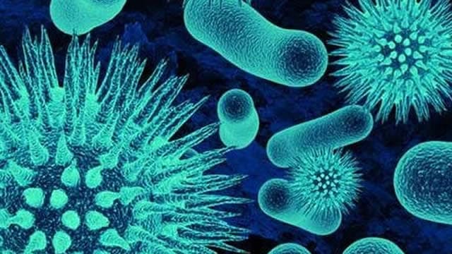 Lyra Therapeutics, Inc. (LYRA) Reports Q3 Loss, Lags Revenue Estimates