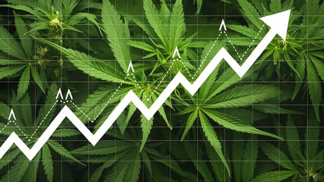 Aurora Cannabis Inc. (ACB) Q1 Earnings and Revenues Beat Estimates
