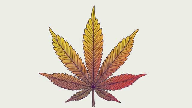 Curaleaf Goes Public with Premium Acquisition Proposal for Aurora Cannabis