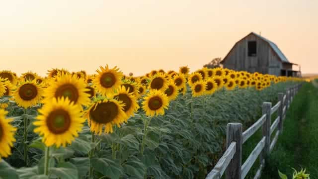 Nutrien to Commence Share Buyback Following TSX Approval