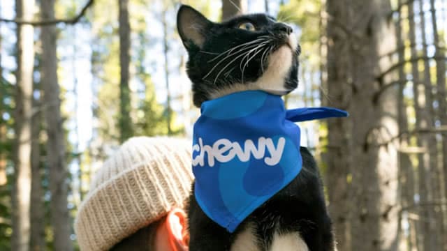 Chewy (CHWY) Outpaces Stock Market Gains: What You Should Know