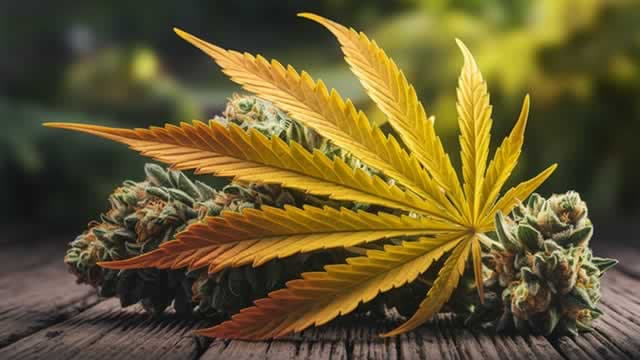 Tilray Brands stock rises as Curaleaf plots hostile takeover for Aurora