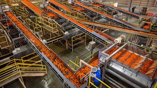 Tyson Foods (TSN) Registers a Bigger Fall Than the Market: Important Facts to Note