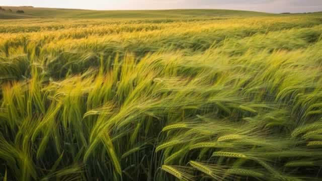 Not Just Oil: 3 Fertilizer Stocks Boosted by Hormuz Closure