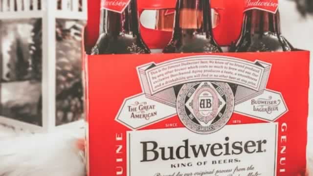 Why Anheuser-Busch Inbev (BUD) is a Top Value Stock for the Long-Term
