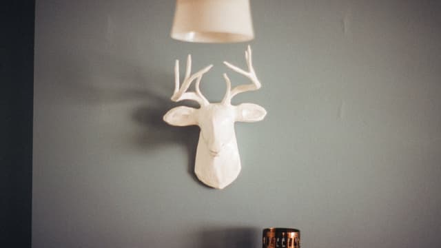 Flooring Giant With $11 Billion in Sales Draws $10 Million Investment as Housing Cycle Turns